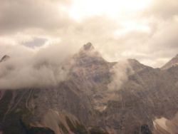 2013-09-08_6Falkenh-Steinfalk (114).JPG